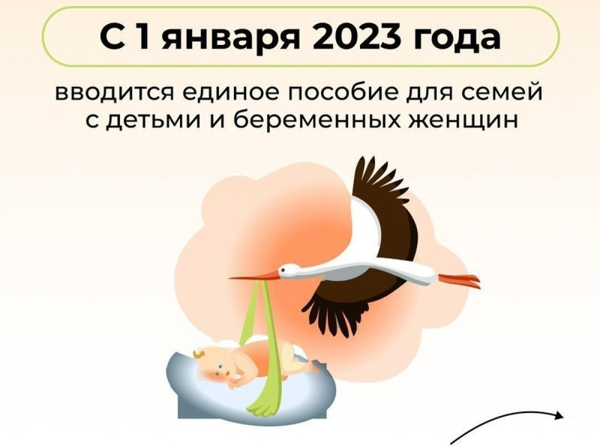 Что необходимо знать люберчанам для получения единого пособия