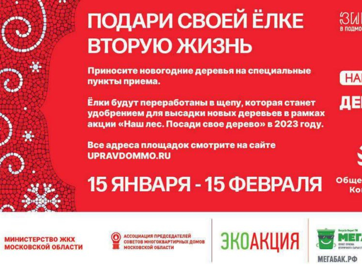 Где люберчанам утилизировать живые ели после новогодних праздников