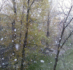 Заморозки и небольшой снег ожидаются предстоящей ночью в Люберцах