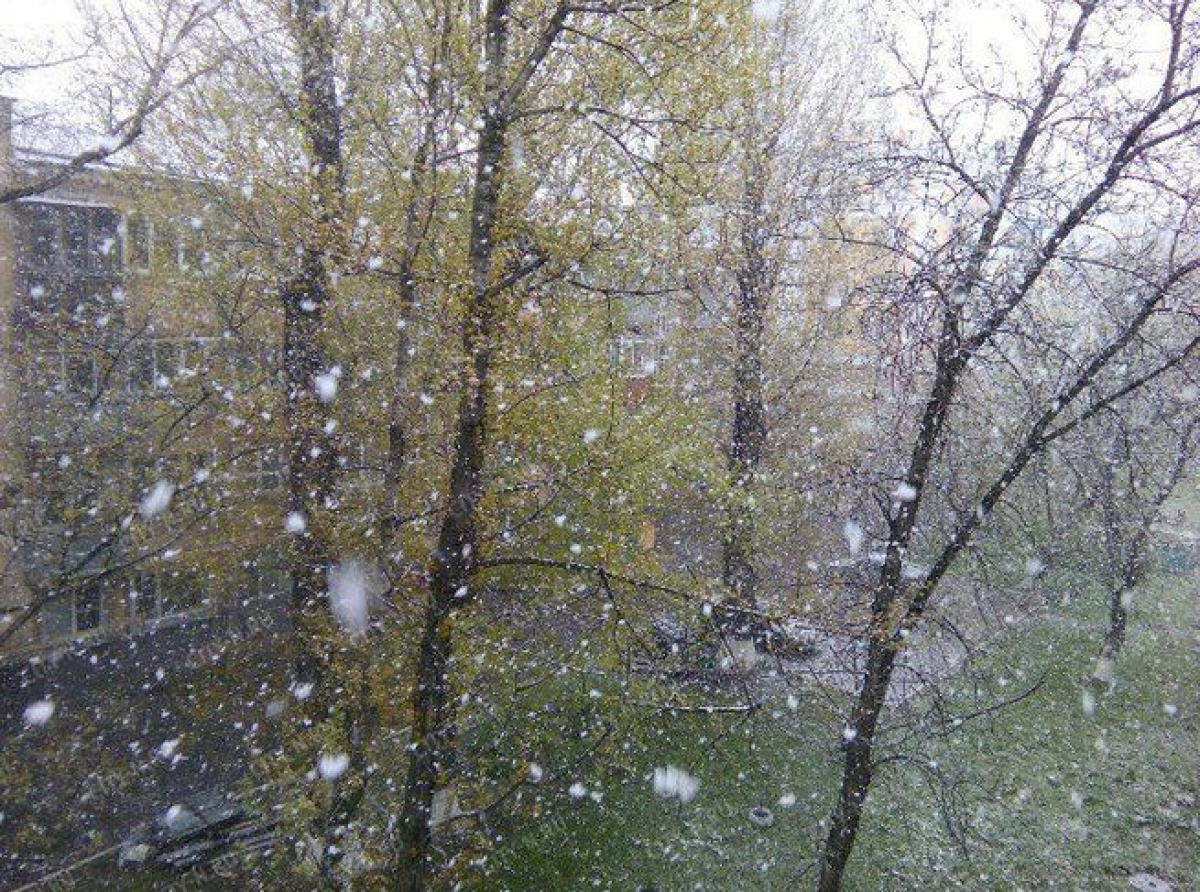 Снегопад ждет Люберцы в ближайшие дни