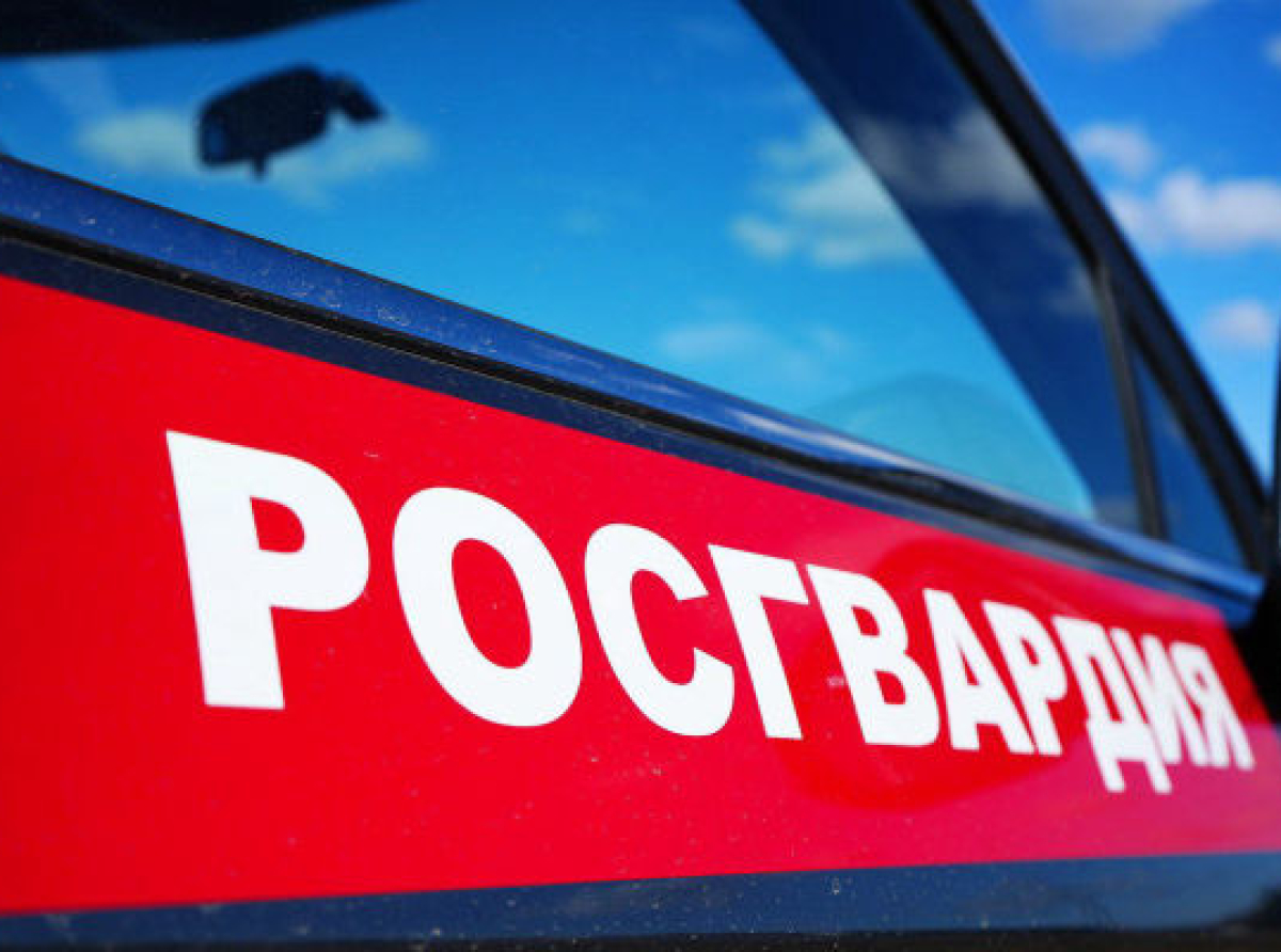 Росгвардейцы обезвредили преступника на детской площадке в Люберцах