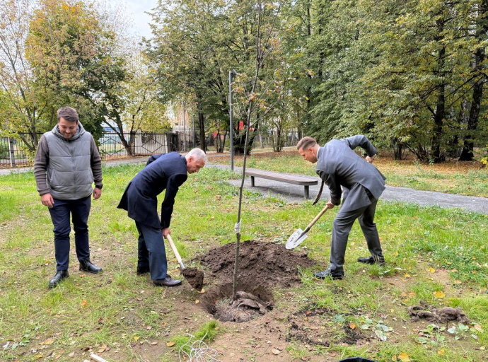 Три дуба посадили депутаты в Наташинском парке Люберец  