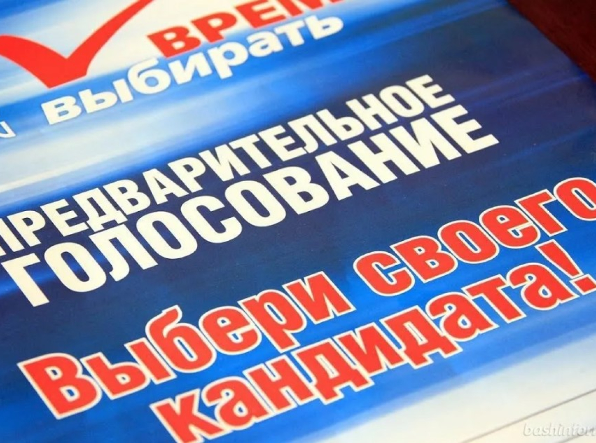 Более 20 кандидатов заявились на предварительное голосование в Люберцах
