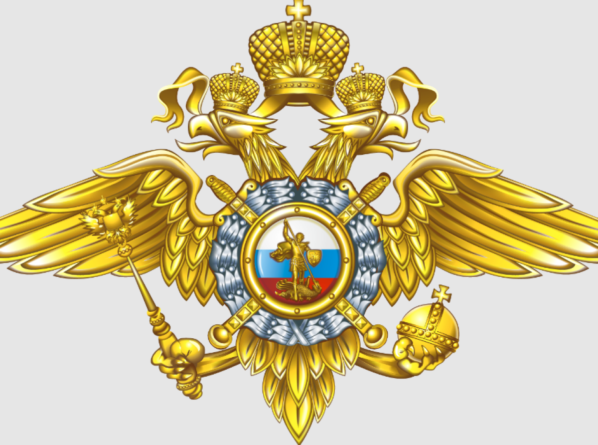 В городском округе Люберцы полицейские выявили 133 нелегальных мигрантов
